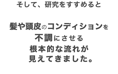 そして、研究をすすめると 髪や頭皮のコンディションを 不調にさせる 根本的な流れが 見えてきました。